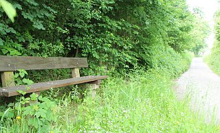 Das Liebestal genannte Waldstück am Maschbach in Borgentreich soll durch einen exklusiv gestalteten Rad- und Wanderrastplatz touristisch erheblich aufgewertet werden. - Burkhard Battran