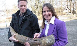 Felicitas Demann, Leiterin des Naturkundemuseums Schloß Neuhaus, freut sich über die Dauerleihgabe vom Bürgermeister Matthias Möllers aus Altenbeken. - Uwe Müller