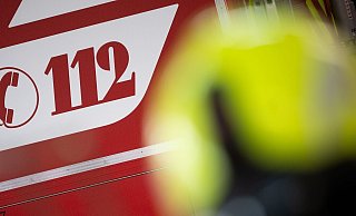 Ein Pferd war im Bielefelder Osten in eine Sickergrube geraten. Die Feuerwehr befreite das Tier mit einem Kran. - Sebastian Gollnow/dpa