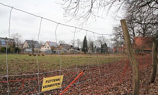 Der Bauantrag für eine neue Kita mit 90 Plätzen auf der landwirtschaftlich genutzten Fläche im Winkel von Welplagestraße und Heckenweg ist bereits gestellt. - Rainer Holzkamp