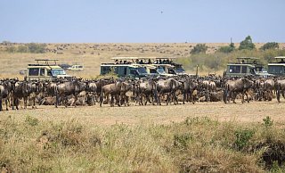 Die Kritik am Verhalten mancher Besucher und die Sorge vor Übertourismus zum Schaden des Ökosystems nehmen zu. - Han Xu/XinHua/dpa