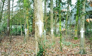 Etliche Bäume wurden plötzlich mit weißen Kreuzen markiert.  - Heiko Kaiser