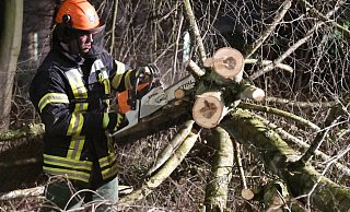 Vor allem umgestürzte Bäume hielten die Feuerwehr im Kreis Gütersloh in der Sturmnacht auf Trab, wie hier am Stadtring Sundern. - Andreas Eickhoff