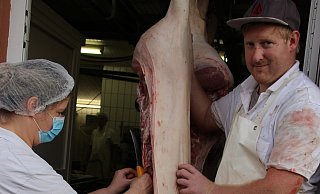 Fleischkontrolleurin Evelyn Barthel (l.) nimmt eine Probe von einem Schwein, das Fleischermeister Daniel Beier und seine Mitarbeiter gerade geschlachtet und zerlegt haben. Das Tier hatte einen schnellen Tod und einen kurzen Anfahrtsweg. - Ivonne Michel