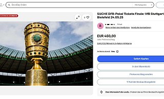 Dieser Inserent bietet bei Ebay 450 Euro für ein Ticket. - Screenshot: Ebay