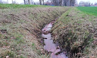Die rötliche Färbung im Wasser des Straßengrabens an der Leverner Maschstraße Ende Januar war gut zu erkennen. - Joern Spreen-Ledebur