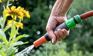 Das in Zisternen gesammelte Regenwasser kann unter anderem im Garten zum Einsatz kommen. Das spart Trinkwasser. - Christin Klose/dpa