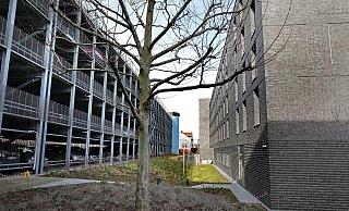 Fahrzeuge, die im Elsbach-Parkhaus rangieren, würden ohne Sichtschutz Gäste des Intercity-Hotels blenden. - FRANK-MICHAEL KIEL-STEINKAMP