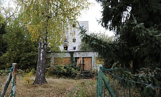 Das Tor steht offen, das Areal an der Louis-Flotho-Straße in Höxter ist verwildert. - Simone Flörke