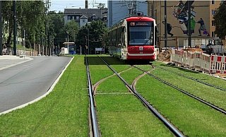 Einer der wenigen unumstrittenen Punkte: Beim Weiterbau der Linie 1 nach Sennestadt sind Rasengleise geplant. Sie sollen leiser sein. - MoBiel