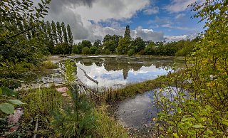 Still ruht der See. Die große Industriebrache der ehemaligen Metallwerke Windelsbleiche im Bielefeld-Senne wartet seit Jahren auf eine neue Verwendung. Es gibt aber einen bedeutenden Haken. - © Andreas Zobe