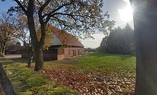 Südlich der Bünder Straße in Rödinghausen soll ein Bauprojekt realisiert werden: Die Gemeinde will eine Fläche von rund zwei Hektar auf dem derzeitigen Hofgelände erschließen. - Florian Weyand