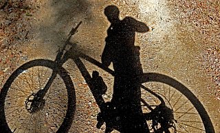 Licht für Radfahrer hat auch Schattenseiten, denn die Insektenwelt kommt nicht mehr zur Ruhe. - Pixabay/Symbolbild