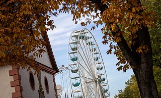 Neun Tage lang findet in Paderborn Herbstlibori statt. - Niklas Tüns