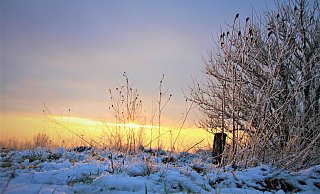 Sonnenuntergang auf dem schneeverschneiten Köterberg. Nachdem vor allem viele Familien in den vergangenen Tagen hierher zu Rodeln kamen, wird es jetzt wieder ruhig hier.  - David Schellenberg