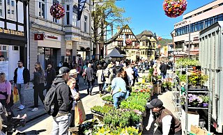 Pflanzenmarkt Innenstadt Höxter - Simone Flörke