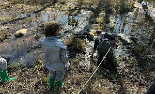 Mit Wathose und per Leine gesichert geht ein Hövelhofer Feuerwehrmann zur Tierrettung in den Schlamm. - Feuerwehr Hövelhof