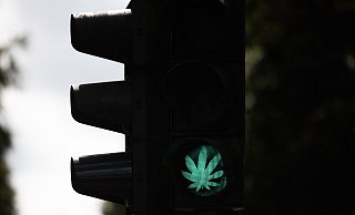 Der Bundestag hat die kontrollierte Cannabis-Freigabe beschlossen. - Rolf Vennenbernd/dpa