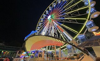 Das Riesenrad auf dem Alten Markt erstrahlt in bunten Farben. - Dana Johanna Stoll