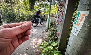 Die Reste der Schnüre, die Mike H. vor wenigen Tagen am Hals erwischt haben, hängen noch immer an einem Mast. Die Polizei Herford hat er mittlerweile informiert. - Daniel Salmon