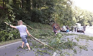 Eine Buche ist auf der B 239 auf ein Auto gestürzt. - Heike von Schulz