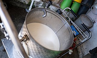 Erste Landwirte in OWL haben mit ihrem Protest gegen die Düngemittelverordnung begonnen und am Dienstag 30.000 Liter Milch an Schweine verfüttert anstatt zu verkaufen. - Symbolbild: picture alliance