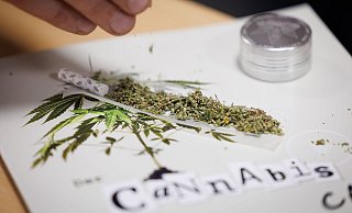 Seit April ist der Konsum von Cannabis in Deutschland unter Auflagen erlaubt. - Friso Gentsch/dpa