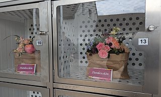 Über 18 Fächer verfügt der Blumenautomat, der klimatisiert ist, um die Arrangements frisch zu halten. - Susanne Blersch