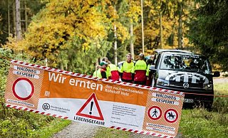Dicht: Wanderwege bei Fürstenberg bleiben bis auf Weiteres zur Sicherheit der Waldbesucher gesperrt.  - Landesforsten