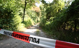 Das Täterduo saß ursprünglich im Wald auf einer Parkbank. Als Vater und Kind auftauchten, zückte einer sein Messer. - Symbolfoto: Andreas Frücht