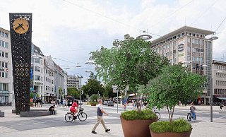 "Sieben Söhne des Himmels", so heißen die Sträucher, die bald auf dem Jahnplatz stehen könnte. Insgesamt sollen zwölf Pflanzkübel aufgestellt werden. - Stadt Bielefeld