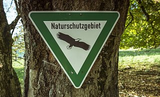 Viel diskutiert wurde der Landschaftsplan. Die SPD sieht in der jetzigen Satzung auch den Naturschutz nicht genügend berücksichtigt. - Pixabay/Symbolbild