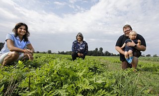 Conny Oberwelland (l.), Claudia Quirini-Jürgens und Landwirt Konrad Steinlage zwischen frisch nachwachsendem Rainfarn. - Roland Thöring
