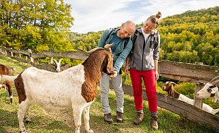 Die schönsten Wandertouren im Kreis Höxter: Tierisch was zu entdecken gibt es auf den Wanderwegen um Beverungen. - Teutoburger Wald Tourismus/Dominik Ketz