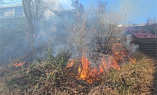 In Höxter musste die Freiwillige Feuerwehr einen Böschungsbrand zwischen Gymnasium und Realschule löschen. - Thomas Kube