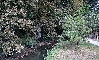 Der Bolldammbach - hier in der Engeraner Maiwiese - führt derzeit nur sehr wenig Wasser. - Mareike Patock