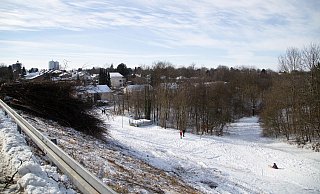 Am Liethstaudamm hat die Stadt jede Menge Gehölz entfernt. - Friedel Ellenbörger