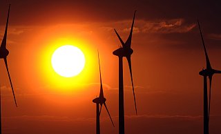 Kommunen dürfen künftig auf Beträge im mittleren fünfstelligen Bereich pro Windkraftanlage pro Jahr hoffen. - picture alliance / dpa