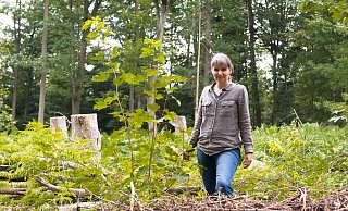 Geht es nach Freyja Diebrock sollte der Wald die Wiederaufforstung selbst übernehmen und der Mensch nur vereinzelt eingreifen. - Ralf Bittner