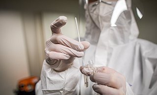 Ab Mittwoch werden in der Paderhalle Antigen-Schnelltests angeboten. - Corona Schnelltest Zentrum UG