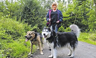 Beliebte grüne Oase: Claudia Franke geht gerne mit ihrem Schäferhund und dem Husky einer Freundin auf dem sogenannten "Monte Scherbelino" spazieren. Sie ist von dem kleinen Berg begeistert, "ich denke allerdings fast nie daran, dass hier Schutt liegt". - Kurt Ehmke