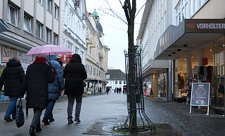 Der Auftrag zur Neupflasterung der unteren Klosterstraße wird in den nächsten Tagen vergeben, auch die zwei Bäume werden gefällt. Die FDP versucht das Projekt noch zu stoppen. - Ulf Hanke