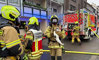 Ein Feuerwehrmann bringt eine der geretteten Katzen ins Freie. - Ralph Meyer