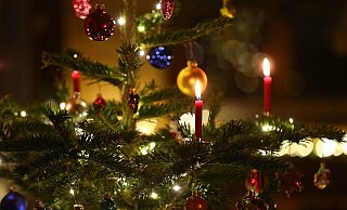 Kerzen brennen in einem Wohnzimmer an einem geschmückten Christbaum: heutzutage oft schon zeitiger im Dezember als früher. (Symbolbild) - picture alliance / Karl-Josef Hildenbrand/dpa