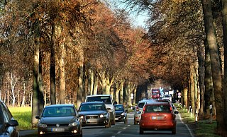Auf der Bundesstraße 61 zwischen Bielefeld und Gütersloh kommt es oft zu Staus, insbesondere im Berufsverkehr. - Andreas Frücht
