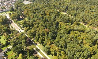 Die Bad Lippspringer Gartenschau wirbt mit ihrer Waldkulisse. - Jens Reddeker