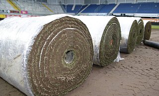 In der Paderborner Benteler-Arena wird demnächst wieder ein neuer Rollrasen verlegt. Denn die aktuelle Spielfläche ist in einem erbärmlichen Zustand. - Frank Beineke