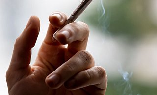 Cannabis ist die am häufigsten konsumierte illegale Droge in Deutschland. - Foto: Fabian Sommer/dpa