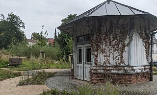 Die Grünen haben das Gerichtsurteil nebst Begründung zum Quellenstreit entdeckt - und machen dem ersten Beigeordneten Michael Scholle heftige Vorwürfe. - Burkhard Battran