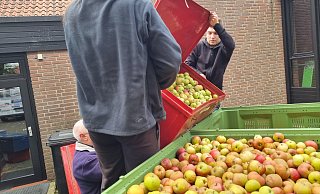 In den roten Kisten mussten die Äpfel aus Platzmangel zwischengelagert werden. Hier werden sie auf den Anhänger umgefüllt. - Kristin Springer